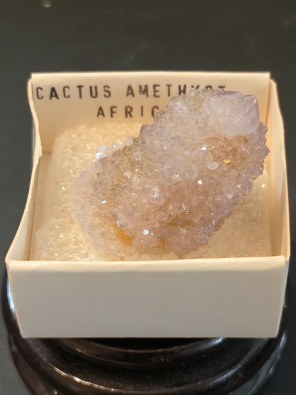 💜 Cactus Amethyst Spirit Quartz Cluster • Africa